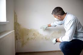 Mold Removal for HVAC Installations in New Hackensack, NY